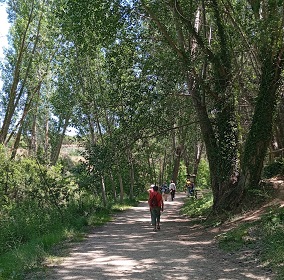 33_paseo molinos